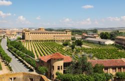 Veduta panoramica dal Palacio de los Reyes de Navarra sulla città di Olite, Spagna, e sui suoi vitigni.
