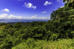 Veduta panoramica del lago Brokopondo, Suriname (Sud America). Di natura artificiale (creato sbarrando il fiume Suriname), ha un bacino idrografico di circa 12.200 km quadrati.
