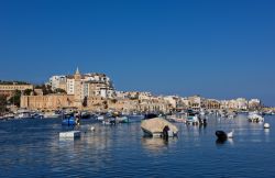 Veduta panoramica della costa di Marsascala (isola di Malta) con barche da pesca ormeggiate nel Mediterraneo - © Renata Apanaviciene / Shutterstock.com