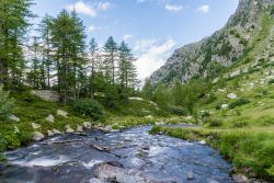 Veduta panoramica della Val Veny non distante da Pré-Saint-Didier, Valle d'Aosta. E' situata ai piedi del massiccio del Monte Bianco, a sud di Courmayeur.
