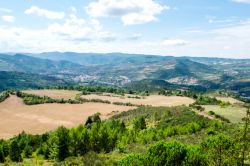 Veduta panoramica della vallata con foresta e picchi dei Pirenei nei dintorni del borgo di Rennes-le-Chateau, Francia.

