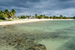 Veduta panoramica di spiaggia e mare a Playa Giron, Cuba. Un vero e proprio paradiso per chi vuole nuotare in acque trasparenti in compagnia di coloratissimi pesci - © Stefano Ember / Shutterstock.com ...