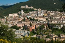 Veduta panoramica di Spoleto in estate con le ginestre fiorite, Umbria - © Buffy1982 / Shutterstock.com