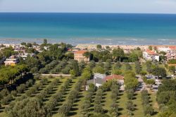 Veduta sugli uliveti lungo la costa adriatica di Roseto degli Abruzzi, Italia. Questa bella cittadina è situata a 5 metri di altitudine sul livello del mare fra le foci del fiume Vomano ...