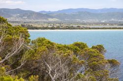 Vegetazione mediterranea sulla costa di Sant'Anna Arresi in Sardegna