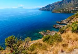 Vegetazione sulla costa rocciosa di Sapri, Salerno (Campania).

