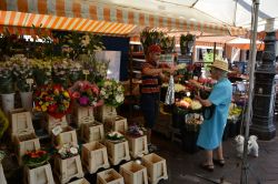 Vendita di fiori in Corso Saleya a Nizza, Francia. Una delle tradizionali bancarelle del famoso "mercato dei fiori" che si tiene ogni giorno in quest'area a due passi dalla Promenade ...