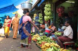 Venditori di frutta e verdura in un mercato di Trivandrum, India. Siamo a Chalai, il più grande mercato della capitale del Kerala - © AJP / Shutterstock.com