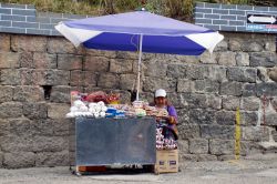 Las Lajas (Colombia): una venditrice ambulante con il suo carretto di dolciumi fuori dal Santuario de la Virgen del Rosario de Las Lajas, presso Ipiales - foto © Angela N Perryman / Shutterstock.com ...