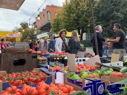 Verdura al mercato del saboto di Campi Bisenzio, siamo ad ovest di Firenze, in Toscana - © lissa.77 / Shutterstock.com