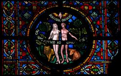 Un particolare della vetrata della collegiata di Notre-Dame a Dinant; la vetrata è considerata una delle più grandi di tutta Europa - foto © jorisvo / Shutterstock.com 