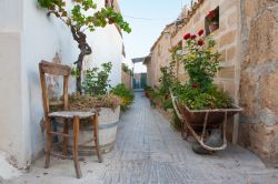 Via del borgo marinaro di Marzamemi, Sicilia - Una caratteristica stradina del villaggio siracusano di Marzamemi: passeggiando in relax fra le viuzze del borgo si scoprono gli scorci più ...