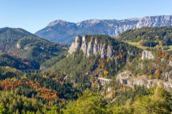 Viadotti della ferrovia di Semmering immersi nei boschi con foliage autunnale, Austria.

