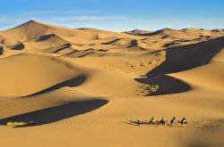 Viaggio a dorso di dromedario nel deserto del Sahara, oasi di Douz (Tunisia).



