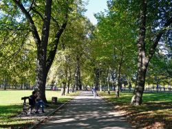 Viale alberato al parco della Pepiniere di Nancy, Francia - © Kumpel / Shutterstock.com