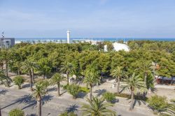 Viale alberato di San Benedetto del Tronto, Marche. Sullo sfondo, il Mare Adriatico - © 190361702 / Shutterstock.com