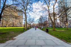 Viale alberato di Washington Square a Philadelphia, Pennsylvania, in primavera.
