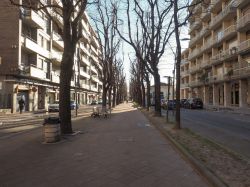 Viale Gramsci nel centro moderno di Grugliasco in provincia di Torino - © Claudio Divizia / Shutterstock.com