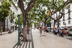 Un viale pedonale nel centro di Funchal, città ...