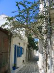 Vicolo in un villaggio a Naxos, Grecia - Una caratteristica viuzza greca in un centro abitato di Naxos, l'isola più grande delle Cicladi © CJPhoto / Shutterstock.com