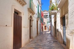 Un vicolo nel centro storico di Fasano, Puglia, Italia. Sullo sfondo una delle tante chiese che impreziosiscono questa cittadina in provincia di Brindisi.
