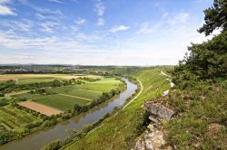 Vigneti lungo il fiume Neckar a Hessingheim, Germania - © S. Kuelcue / Shutterstock.com