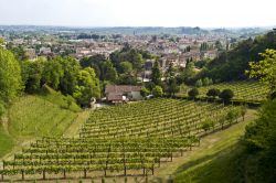 Vigneti nei pressi del castello di San Martino a Ceneda di Vittorio Veneto, Treviso (Veneto) - © REDMASON / Shutterstock.com