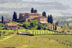 Vigneti nella zona del vino Chianti in Toscana