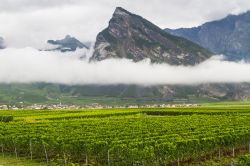 A caratterizzare la valle del Rodano fra Sion e Martigny sono distese di vigneti che accompagnano alla scoperta di un divertente quanto frizzante tour in terra svizzera. Perchè oltre ...