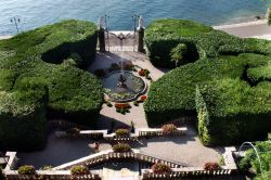 Un particolare del giardino di Villa Carlotta, splendida residenza storica che s'affaccia sul Lago di Como