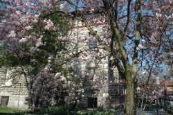 La magnolia in fiore cela una delle eleganti villette di Crespi d'Adda, dove risiedevano i dirigenti - alle strutture già esistenti nel villaggio operaio di Crespi d'Adda, si ...
