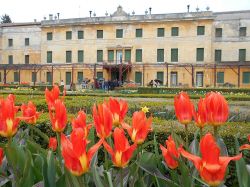 Villa Pisani a Vescovana: la fioritura dei tulipani a Vescovana