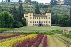 Villa signorile alla periferia di Pistoia, Toscana - Una bella dimora antica immersa nel verde della cittadina toscana © Claudio Giovanni Colombo / Shutterstock.com