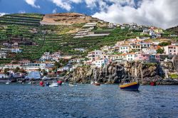 Il villaggio Camara de Lobos, nella parte centro-occidentale di Madeira (Portogallo) - È conosciuta come la località dei pescatori, grazie a barchette piccole e molto colorate. ...