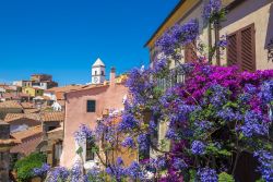 Il villaggio di Capoliveri sull'Isola d'Elba, Toscana. Affacciato sul Mar Tirreno, gode di un clima mediterraneo con inverni miti e estati non particolarmente afose.



