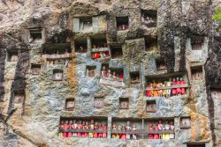 Il villaggio funebre di Lemo, nella regione del Tana Toraja, con le caratteristiche tombe ricavate nella roccia. Siamo sull'isola di Sulawesi, in Indonesia - foto © Fabio Lamanna / ...