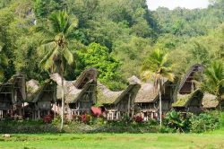 Un villaggio della regione di Tana Toraja, nella provincia del Sulawesi Meridionale, in Indonesia, con le tradizionali case con il tettoa  forma di barca, dette tongkonan - foto © ...