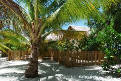 Villaggio a Roatan, Honduras - Uno dei tipici villaggi che si trovano nell'isola di Roatan dove soggiornano turisti provenienti da ogni parte del mondo © Ramunas Bruzas / Shutterstock.com ...