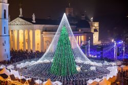 Vilnius (Lituania): l'Albero di Natale nella Piazza della Cattedrale - © www.vilniustourism.lt