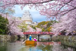 Visita al Castello di Himeji e il suo parco in primavera