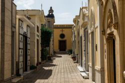 Visita al cimitero di Balestrate, costa nord della Sicilia, Palermo. - © tomasz karwowski / Shutterstock.com