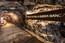 Visita alla Galleria multimediale di Passo Paradiso, siamo nella zona di Passo del Tonale in Lombardia - © Ph. Mauro Mariotti / Adamello ski