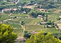 Vista aerea dei vigneti di Bandol, Francia. I ...