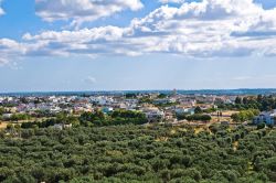 Vista aerea del borgo salentino di Specchia in provincia di Lecce