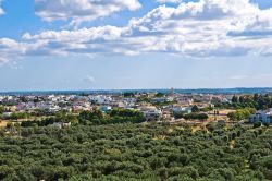 Vista aerea del borgo salentino di Specchia in provincia di Lecce