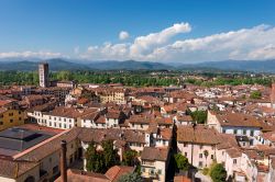 Vista aerea del centro storico di Lucca, Toscana.
