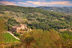 La vista da Seggiano, Grosseto: le coltivazioni degli ulivi, il Castello Potentinp e la cittadina di Castel del Piano - © ermess / Shutterstock.com