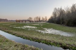 Vista invernale delle campagne intorno Morimondo in Lombardia