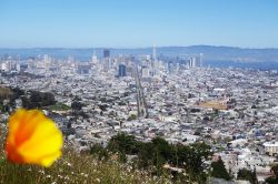 Vista panoramica di San Francisco in California, una delle icone USA.