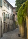 Viuzza del centro storico di Città di Castello, Umbria, Italia. Le stradine di Città di Castello raccontano storie senza tempo racchiuse fra il verde delle colline e l'azzurro ...